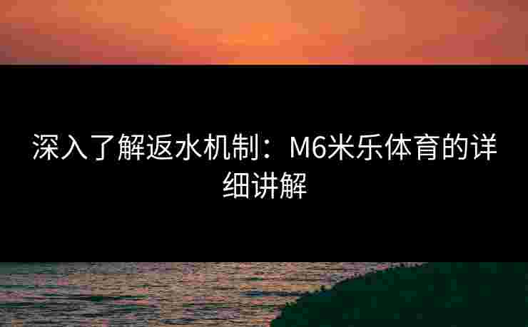 深入了解返水机制：M6米乐体育的详细讲解