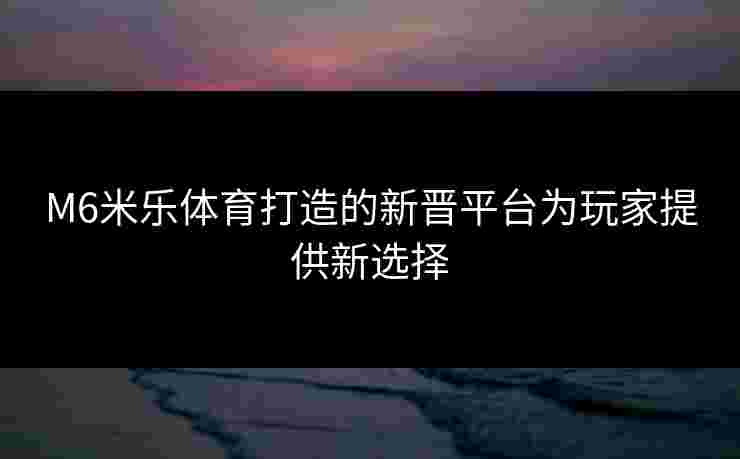M6米乐体育打造的新晋平台为玩家提供新选择