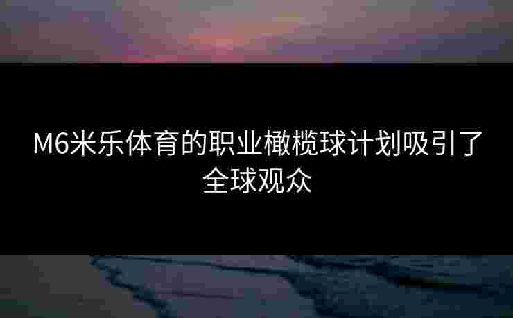 M6米乐体育的职业橄榄球计划吸引了全球观众